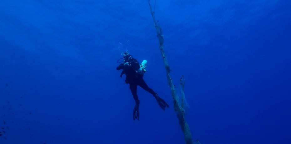 Marine Environmentalist Diver